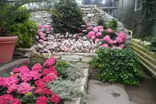 SAM_2097.webp