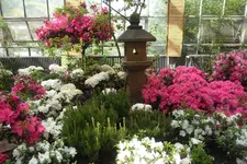SAM_2085.webp