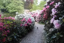 SAM_2111.webp