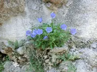 CIMG0494.webp