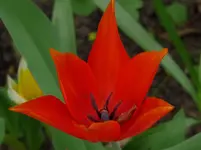 P1090500.webp