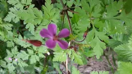 20140502_181011.webp