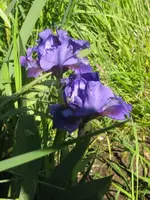 005_576x768.webp