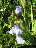 004_576x768.webp