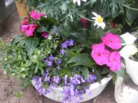 SANY0002.webp