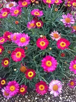 IMG_6112 -1280 p.webp