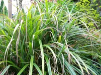 DSCN7302.webp