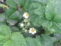 20140501_100445[1].webp