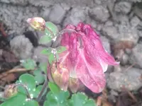 20140501_100626[2].webp