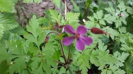 20140502_181011.webp