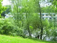CIMG7432.webp