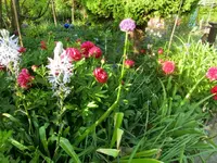 CIMG7455.webp