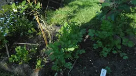 SAM_2824.webp