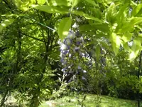 BILD2752.webp
