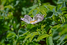 DSC_1014.webp