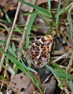 DSC_0977.webp