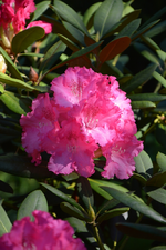 DSC_1022.webp