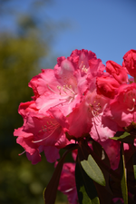 DSC_1023.webp