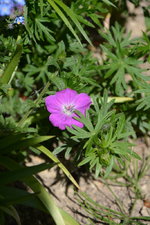 DSC_1011.webp