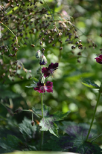 DSC_1018.webp