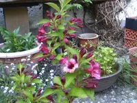 BILD2761.webp