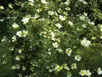 BILD2754.webp