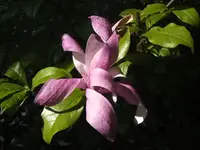 BILD2760.webp