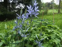 BILD2778.webp