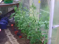 Altes GWH (2).webp