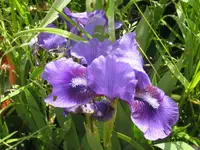 003_1024x768.webp