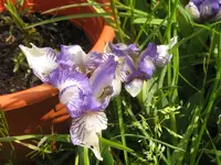 004_1024x768.webp