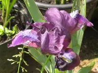 001_1024x768.webp