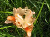 007_1024x768.webp