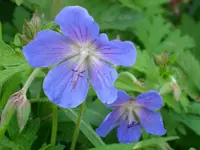 DSCI2464.webp