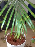 Foto 1.webp