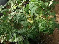 DSCF7767.webp