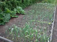 mai 093.webp