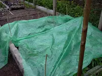 mai 098.webp