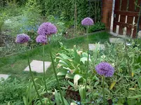 mai 124.webp