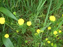 PICT0006.webp