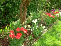 mai 034.webp