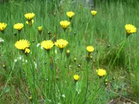 PICT0008.webp
