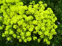 PICT0015.webp