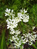 PICT0017.webp