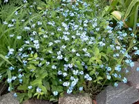 mai 123.webp