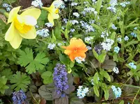 mai 136.webp