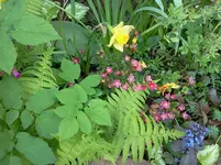 mai 135.webp