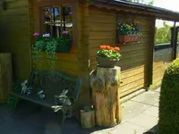 009.webp