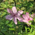 IMG_6602.webp