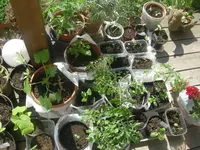 DSCN1205.webp